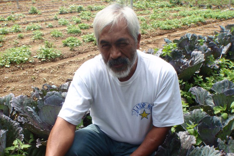 Philippines Taps E-Commerce for Farm Delivery