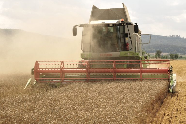 Global Food Prices Surge to Highest Level Since 2011 Suddenly