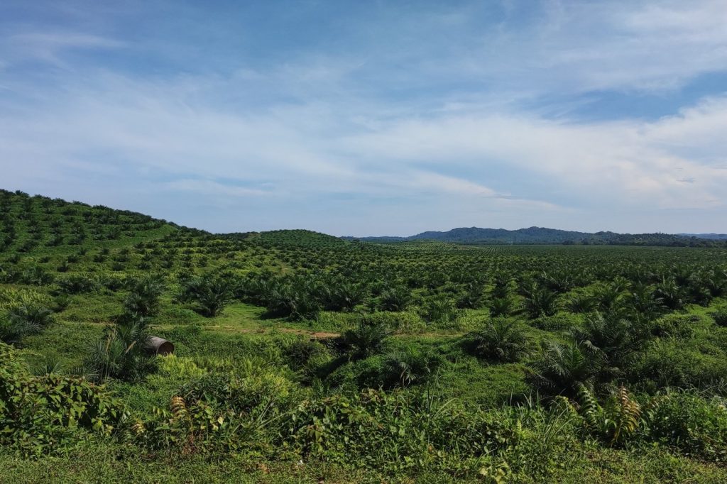 IJM Corp Sells IJM Plantations 56% Stake to KLK for RM1.53B