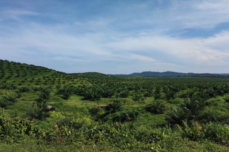 IJM Corp Sells IJM Plantations 56% Stake to KLK for RM1.53B