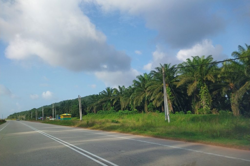 KLK Pays RM1.53 Billion for IJM Plantations Stake