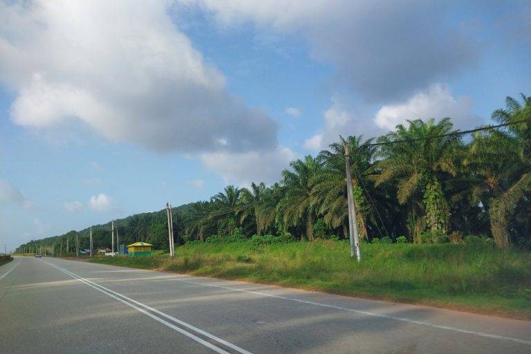 KLK Pays RM1.53 Billion for IJM Plantations Stake