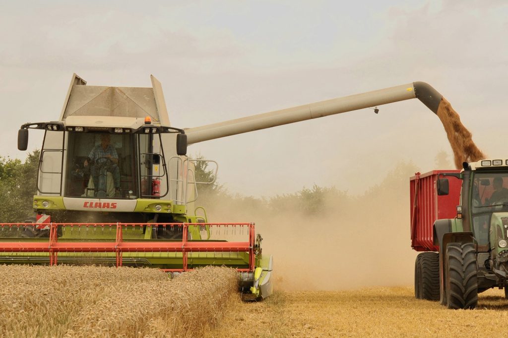 Wheat Futures Jump 30% as Ukraine War Halts Exports