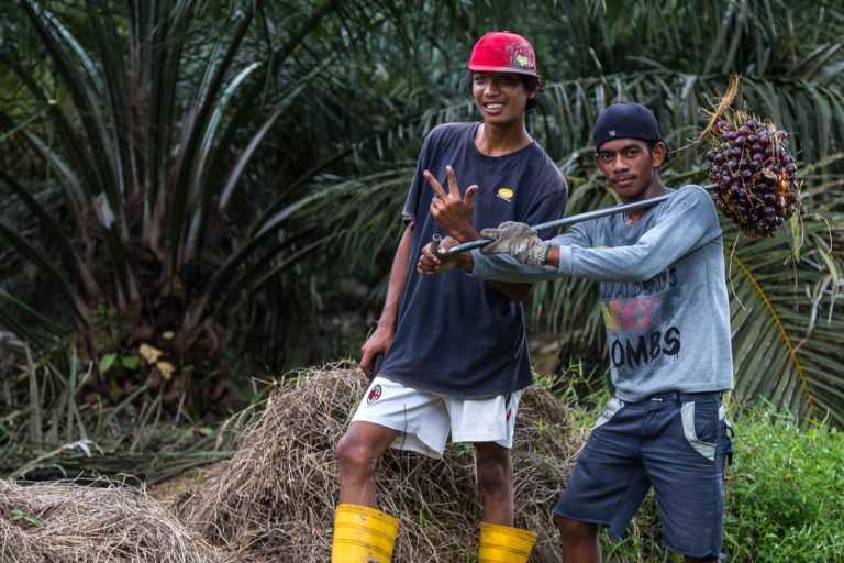 Boustead Plantations Posts RM352K Q3 Loss on Palm Oil Slump