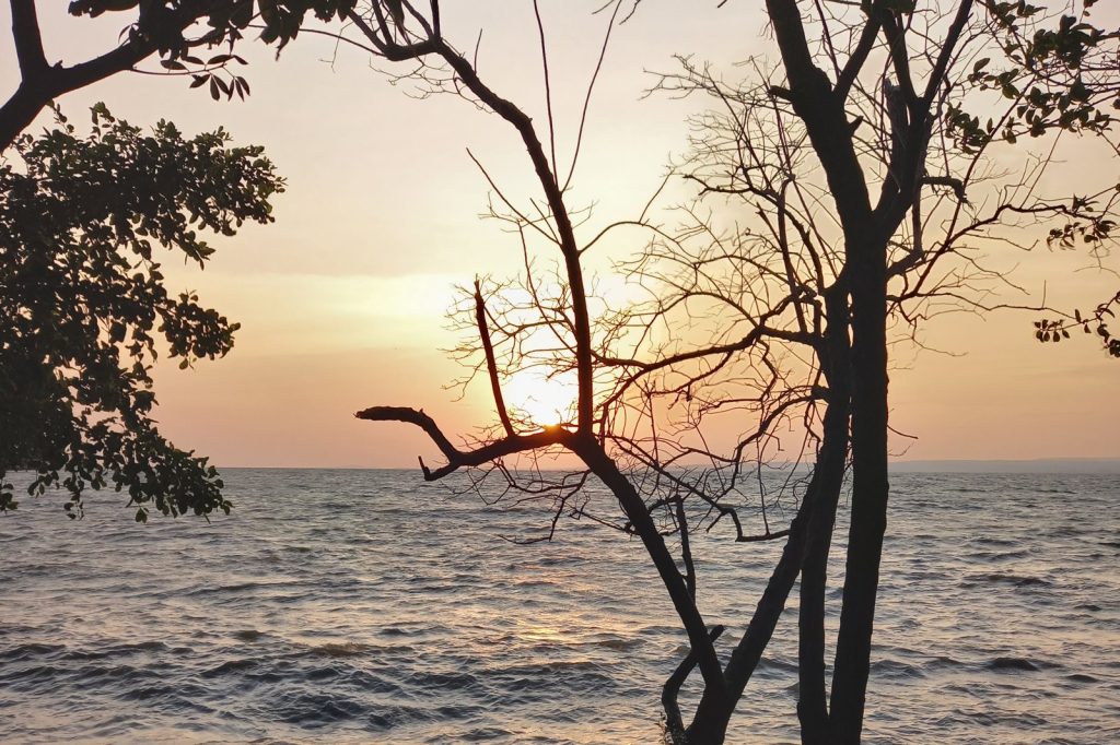 Lake Victoria Boat Tragedy Claims 20 Lives, Five Missing
