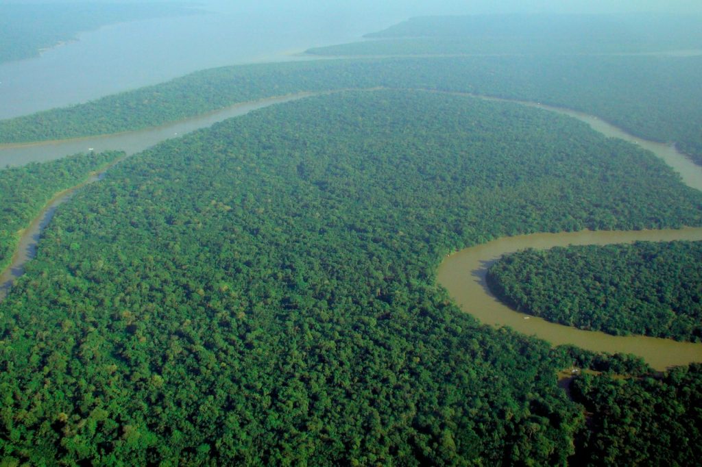 Brazil Amazon Deforestation Hits Lowest Since 2016