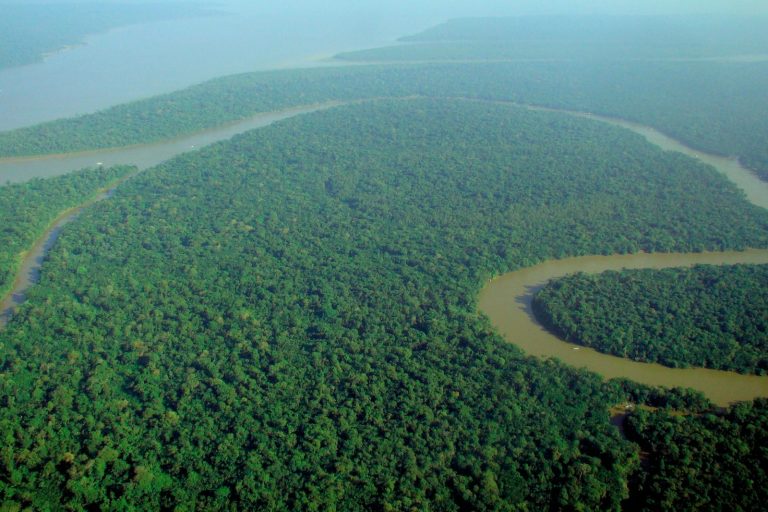 Brazil Amazon Deforestation Hits Lowest Since 2016