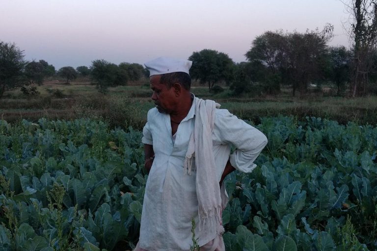 Early Heat Wave Threatens Survival of Indian Farmers