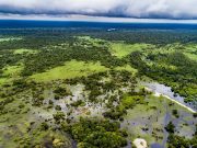Indonesia’s Carbon Market Launch Faces Credibility Hurdles