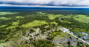 Indonesia’s Carbon Market Launch Faces Credibility Hurdles