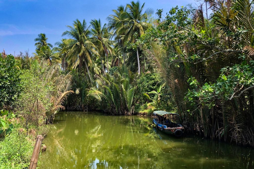 Saltwater Crisis Threatens Vietnams Mekong Delta Farmlands