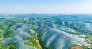 Brunei Eyes Regional Leadership in Blue Carbon Credits