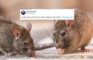 Another pandemic? Fears grow as China reports case of Hantavirus