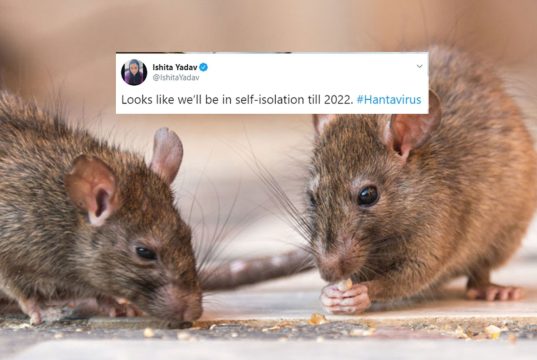 Another pandemic? Fears grow as China reports case of Hantavirus