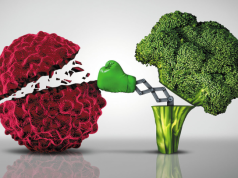 Unraveling the Connection Between Diet and Cancer Risk: A Novel Discovery