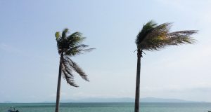 NHC Issues Early 2026 Hurricane Outlooks on May 15 National Hurricane Center meteorologists study satellite monitors showing early Atlantic storm systems weeks before the June 1 season start.