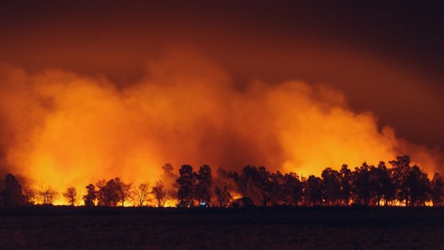 Cadaver dogs and search crews sift through ash-covered rubble in fire-ravaged Lāhainā as smoke still rises in the background.