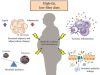 Unraveling the Connection Between Diet and Cancer Risk: A Novel Discovery Diet Metabolism Cancer Risk Study