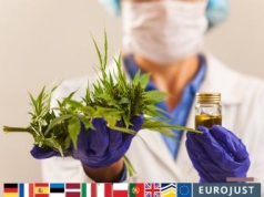 Eurojust Assists in Disrupting €645 Million Medicinal Cannabis Investment Fraud Across Europe Eurojust Cannabis Fraud Raid
