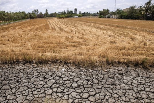 Vietnam’s Mekong Delta Faces Worst Saltwater Intrusion in Years Mekong Delta Saltwater Intrusion Farmland