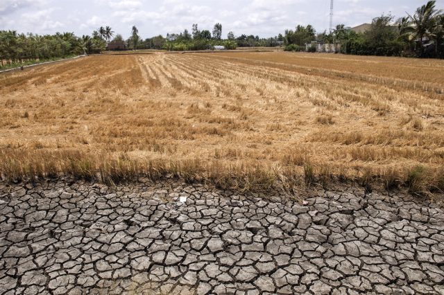 Mekong Delta Saltwater Intrusion Farmland