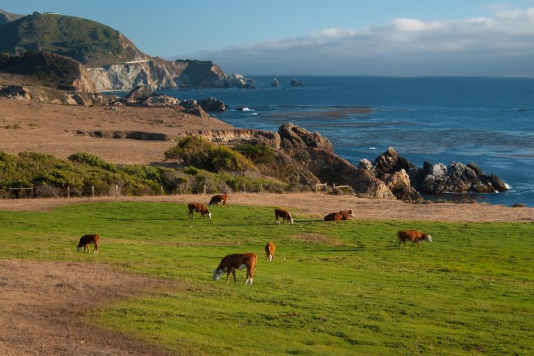 California Small Farmers Lose State-Backed Insurance After Program Expires