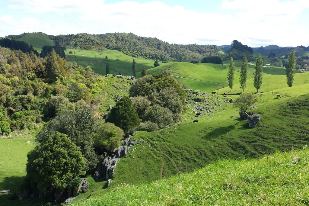 Waikatos farmland debate pits food, energy and housing against fertile soils