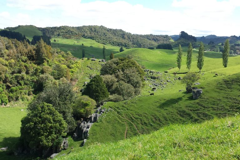 Waikato’s farmland debate pits food, energy and housing against fertile soils