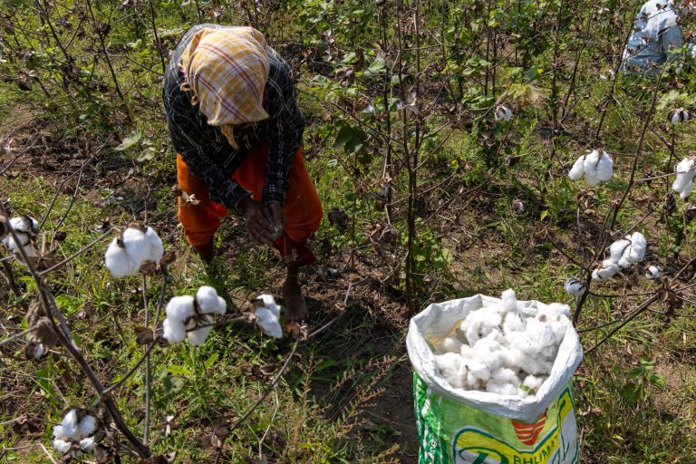 Chandigarh University AI Model Aims to Reduce Guesswork for Indian Farmers