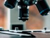 Montreal researchers discover SLAMF6 molecule acts as second immune switch Montreal researchers discover SLAMF6 molecule acts as second immune switch