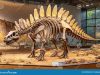 Fossil Shows Pterosaurs Shimmered in Iridescent Colors Dinosaur Skeleton