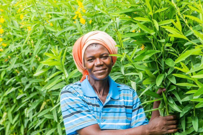 Agricultural economist’s new book advocates homegrown development for Zimbabwe