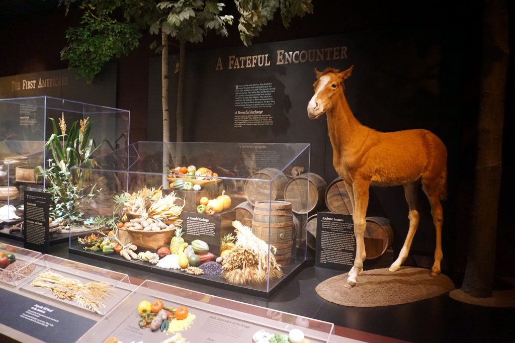 Columbian Exchange Reshaped Global Agriculture and Human Populations