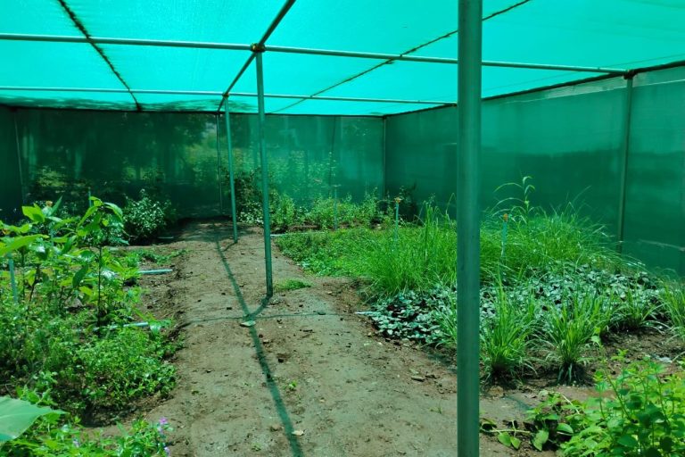 AgriCool Shade Nets Outperform Conventional Methods in Cooling Crops