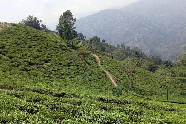 Nepal’s new IP law aims to protect farmers’ traditional products and brands