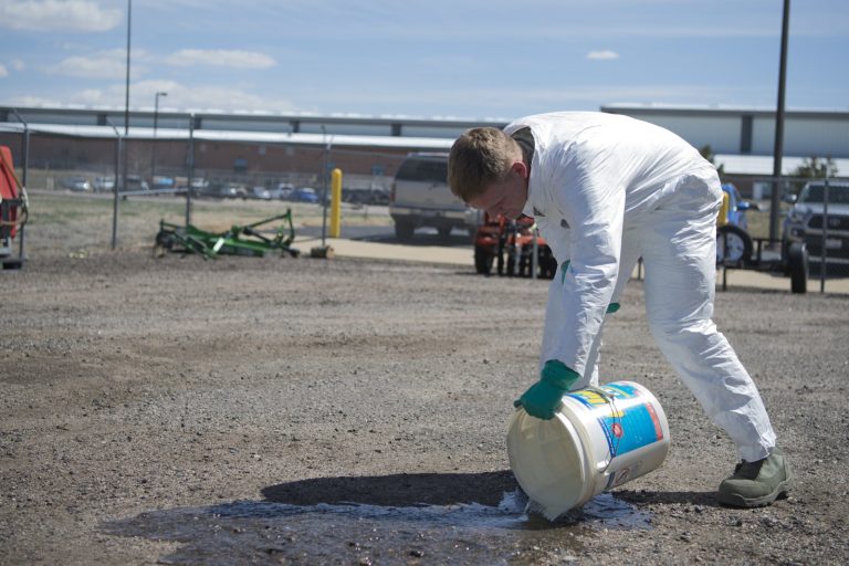 SEO for Pest Control Companies: A 2026 Growth Guide