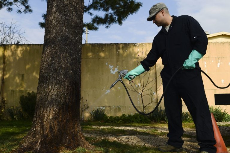 X8 Marketing Guide Outlines New Local SEO Rules for Pest Control Firms