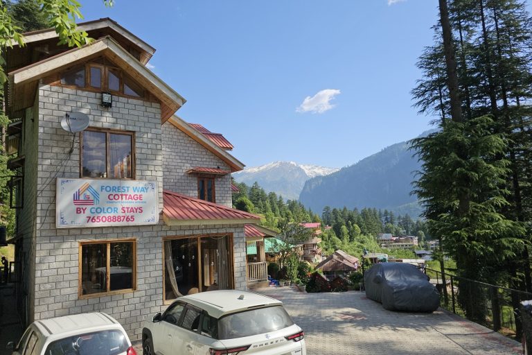 Couple Moves to Manali, Keeps Jobs, Saves Rs 30,000 Monthly