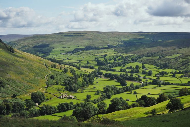 UK assigns economic value to farmland in new statistics