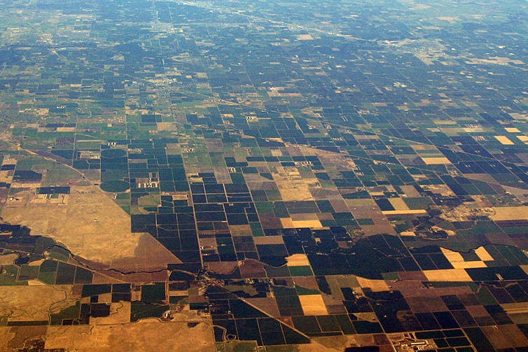 U.S. Agriculture: Mechanized Giant Spreads Across 900 Million Acres
