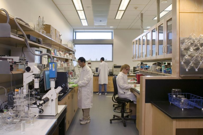 Nasdaq Tissue Firm Opens Lab to Target New Aesthetics Market Gap
