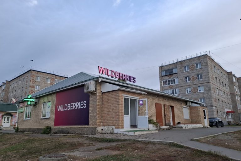 Wildberries’ 25% Russia E-Commerce Share at Risk from Ukraine Strikes