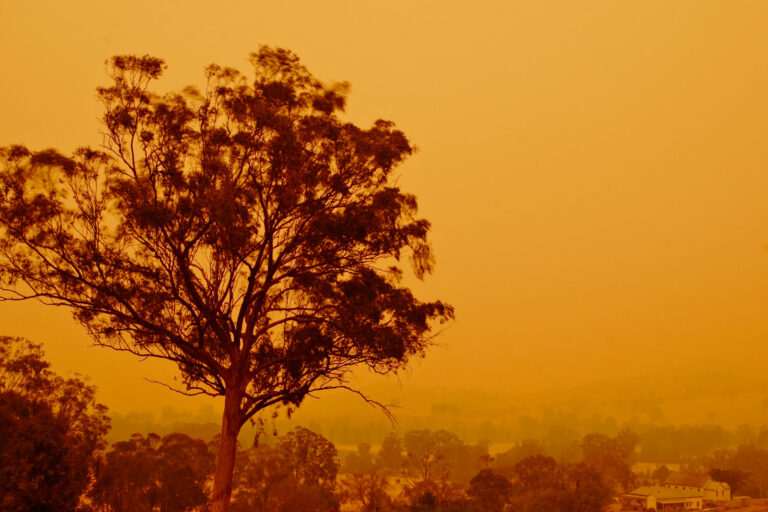 Australia’s bushfires hit businesses leading to more than $2 billion economic cost