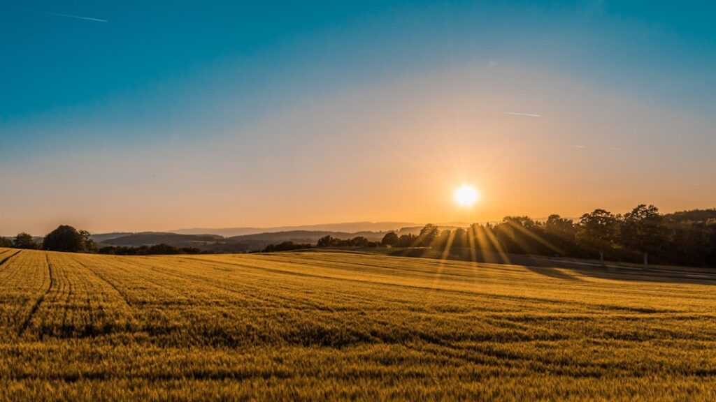 A farmer in a field examines dry soil while a tractor works in the background during the 2022 planting season.