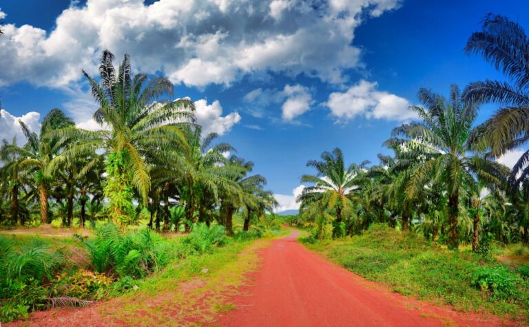 Boustead Plantations Posts RM352,000 Net Loss