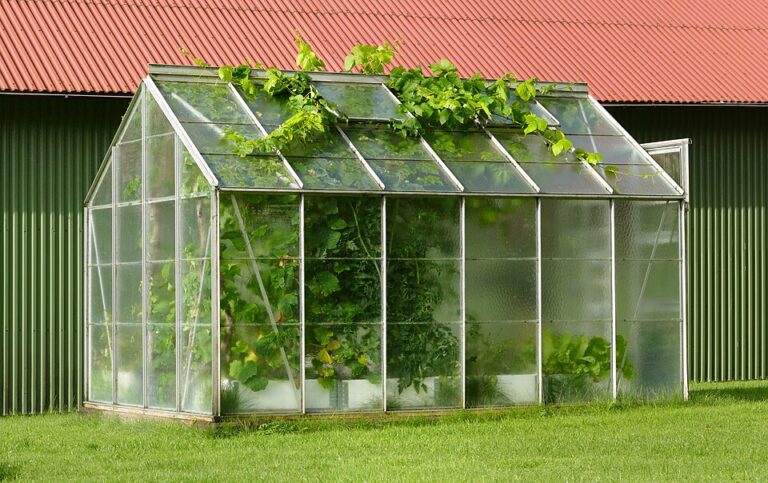 Key Players in Plant Biotech Boost Sustainable Protein Innovation