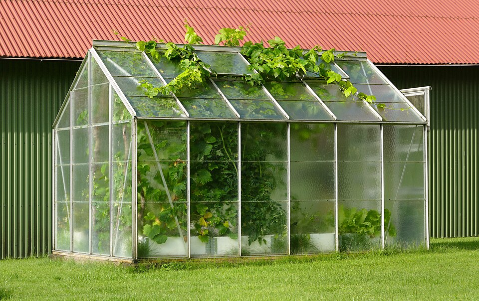 Greenhouse