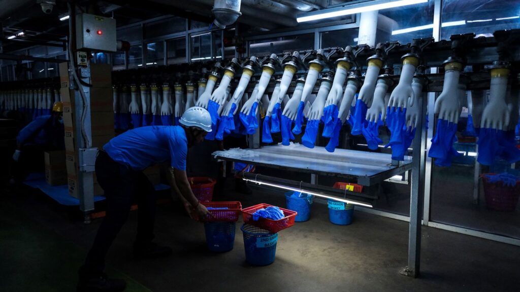 Workers in a Malaysian factory assembling rubber gloves on a production line amid supply chain disruptions.