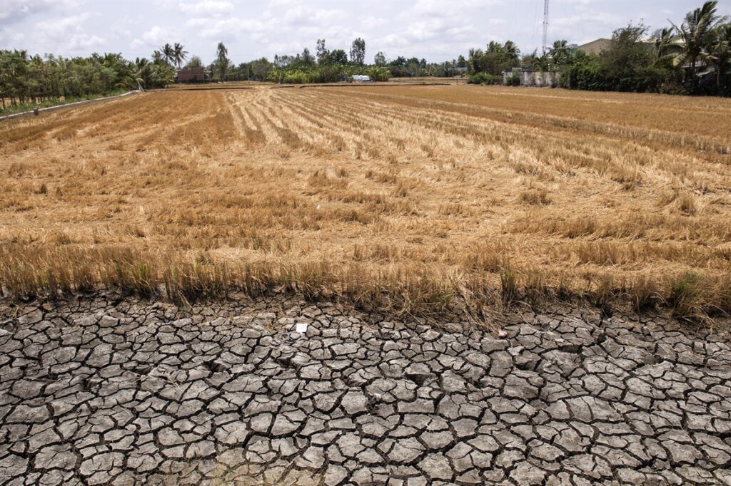 Mekong Delta Saltwater Intrusion Farmland