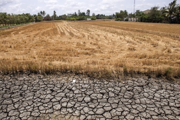 Saltwater Crisis Threatens Vietnam’s Mekong Delta Agriculture